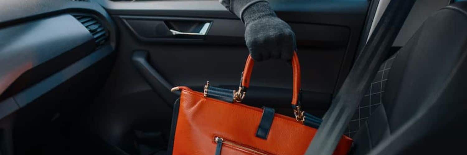 What is Larceny? Grand & Petty Theft Charges